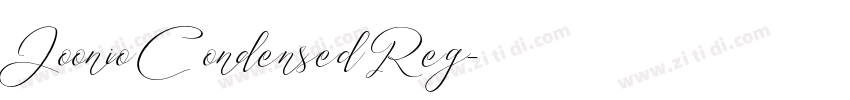 Joonio Condensed Reg字体转换